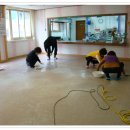 이화상조 이미지