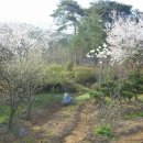 압화공예 이미지