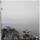 바다의기분풀빌라 이미지