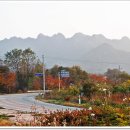 화북초등학교용화분교장 이미지