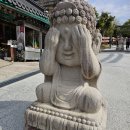 김완석 | 전남 구례 화엄사 부처님 오신 날 어린이날 행사
