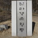 경순왕릉 Daum카페