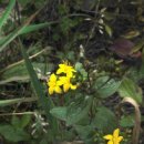 은신목장 이미지