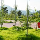 장수누리파크오토캠핑장 이미지