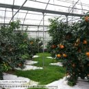 현승농장 이미지