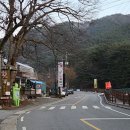 윤식당 앤 윤카페 이미지