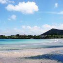 김용우 행정사 이미지