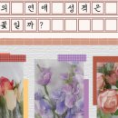 훈이플라워 이미지
