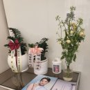 1인 관리 잘 해주는 |공주네일샵| 방문 후기