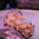 정동진 맛집으로 신선한 대게를 착한가격으로 맛볼수있는곳 정동진 해랑대게