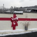 스테이그랴 이미지