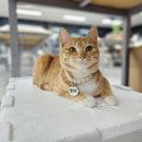 백자로 L 이미지