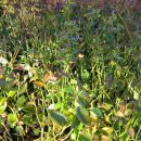 남부농장 이미지