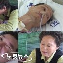 봉양목장 노컷뉴스