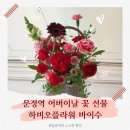 레드플라워(RED FLOWER) | 문정역꽃집 어버이날 꽃 선물 준비 하비오플라워바이수 레드 컬러 꽃바구니 후기