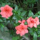 홍류동 화장실 이미지