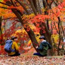 강천산군립공원(병풍폭포) 이미지