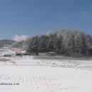 둔내농장 이미지