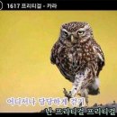 반 휘트니스 이미지