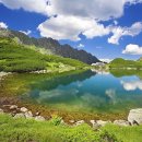 대한항공정우회 이미지