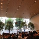 애플스토어 무료 교육 Today at apple 참여 후기