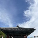 용인대 마스터진 태권도 이미지