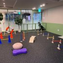 프랑소와펫 롯데일산점 이미지