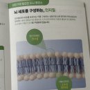 뉴랩 | [육아템/영양제] 우리 아이 첫 두뇌 영양제, 식물성 DHA '그로우랩 지니어스뉴' 구매후기 ㅣ 내돈내산