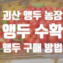 김박사연구소 이미지