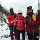 박달산정상 (825m) 티스토리