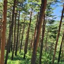 평화목장1 이미지