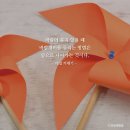 FLUTTER(플루터)