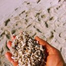 제주 우도 홍조단괴 해빈 이미지