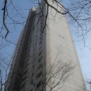 분당-317 이미지