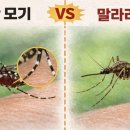 수영김내과의원 네이버블로그