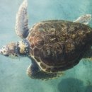 부산뷔페 이미지