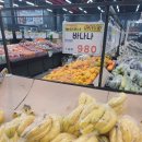 강원식자재마트 | 내돈내산 새로 생긴 횡성 둔내 식자재 마트 다다홈마트 방문 후기! 웰리힐리파크 근처 대형 마트!