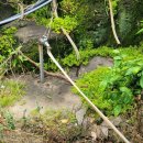 신효동-4 이미지