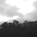 국토종주자전거길1-129 이미지