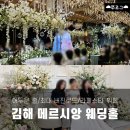 경남축사 | 2025년 경남 김해 메르시앙 웨딩홀 하객 솔직 후기👰