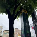 아이에프 | [취준]본아이에프 1차 면접 후기! 가맹 영업 영업관리 SM 직무