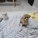 데이,그룸 티스토리