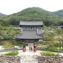 소나무와 호수 이미지