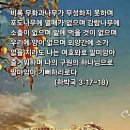 우리외양간 네이버블로그