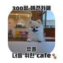 유폴 애견셀프목욕, 애견미용, 애견용품 직영점 | [오산] 300평 동탄 애견카페 유폴 너를위한카페 (소형견, 대형견, 애견셀프목욕)
