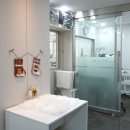 케이디펫 이미지