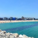 파랑새목장 이미지