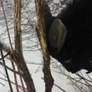 소가산농장 이미지