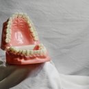 수 치과기공소 이미지