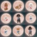 가모스타그램 이미지